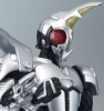 S.H.Figuarts: Masked Rider Herakus