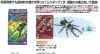 Mushiking Battle Gacchu Gattsu!! Picture Book