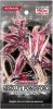 Yu-Gi-Oh Five Days OCG ABSOLUTE POWERFORCE [Konami]