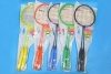Color Steel Badminton