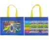 Plarail Non-woven Fabric Outing Bag