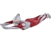 [BANDAI] Movie Monster Series Ultraman (Shin Ultraman) Flight Ver.