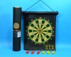 Magnet Darts