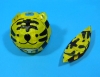 Tiger Paper Balloon (size 1)(Price is for single ballon)