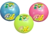 Pokemon BW Sponge Ball