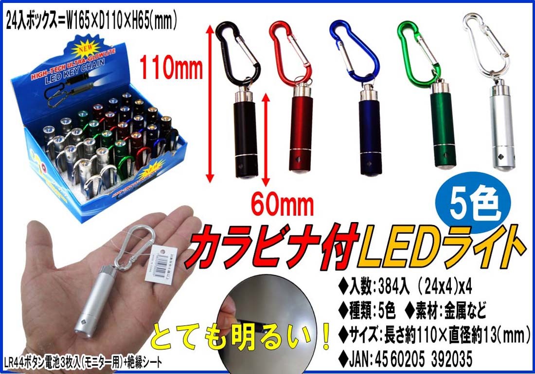 LED light with carabiner