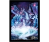 [TakaraTomy] Duel Masters DM Card Sleeve Zero-Ryu DUETUBE Collaboration ver.