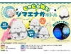 [Only case sales] Shiny shiny Shimaenaga Bottle [Special Price]
