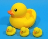 Chapchap Parent and child Duck