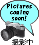 [BANDAI] Movie Monster Series Mecha Godzilla from Movie GODZILLA VS KONG(2021)